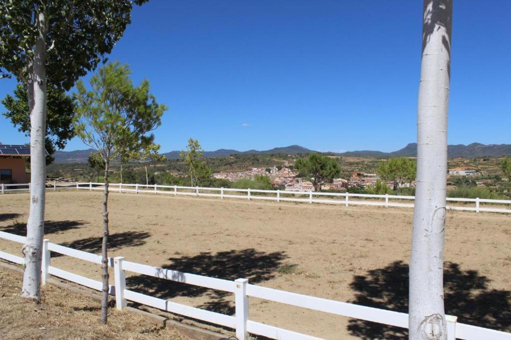 Camping Rocaplana Club De Campo Vilarrodona