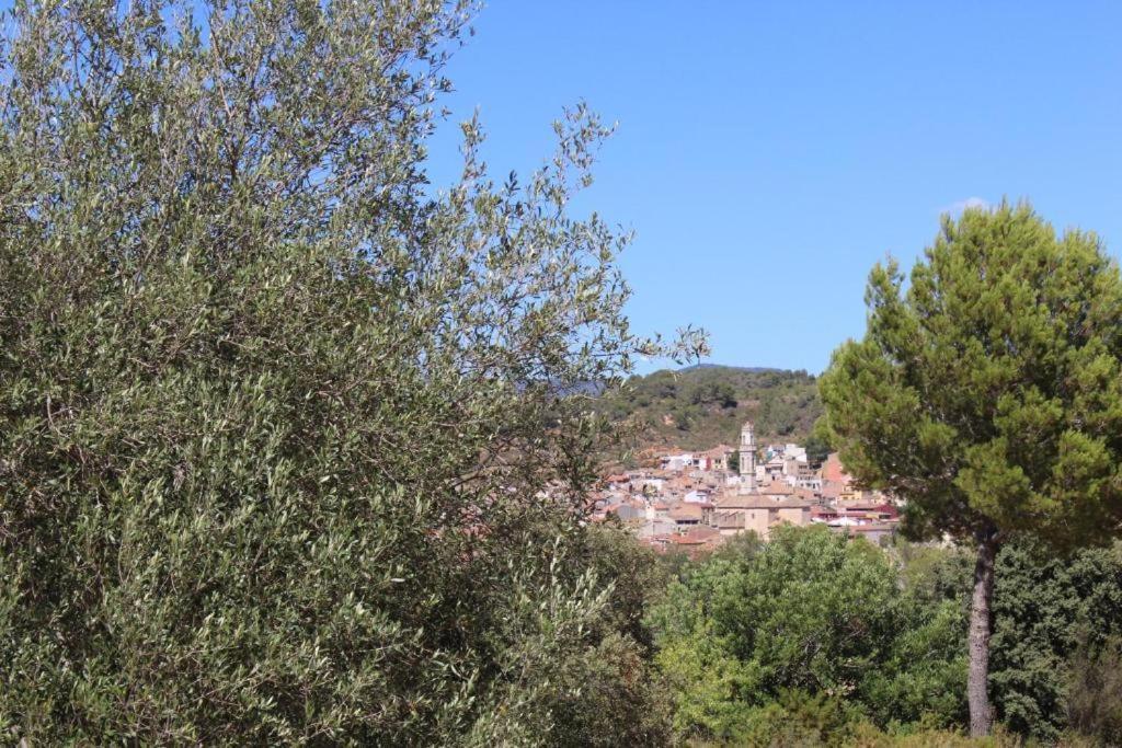 Rocaplana Club De Campo Camping *