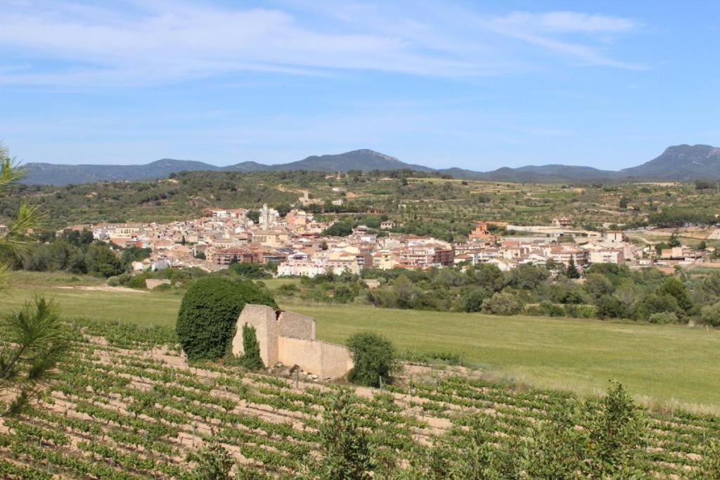Rocaplana Club De Campo Camping