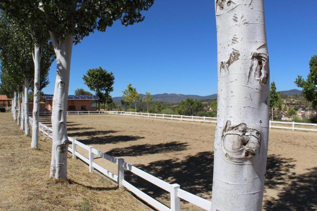 Rocaplana Club De Campo Vilarrodona